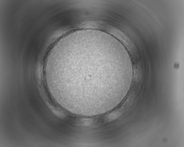 X0000116300302201001111123