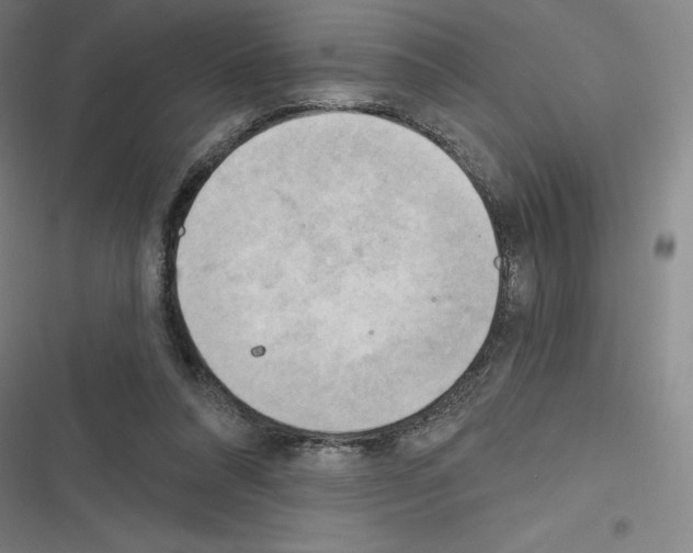 X0000116300304201001111123