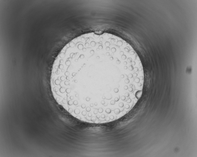 X0000116300307201001111123