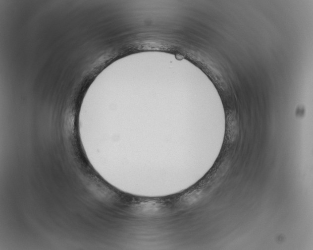 X0000116300310201001111123