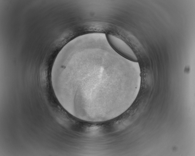 X0000116300312201001111123