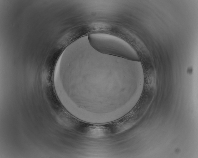 X0000116300316201001111123