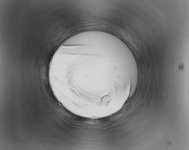 X0000116300317201001111123