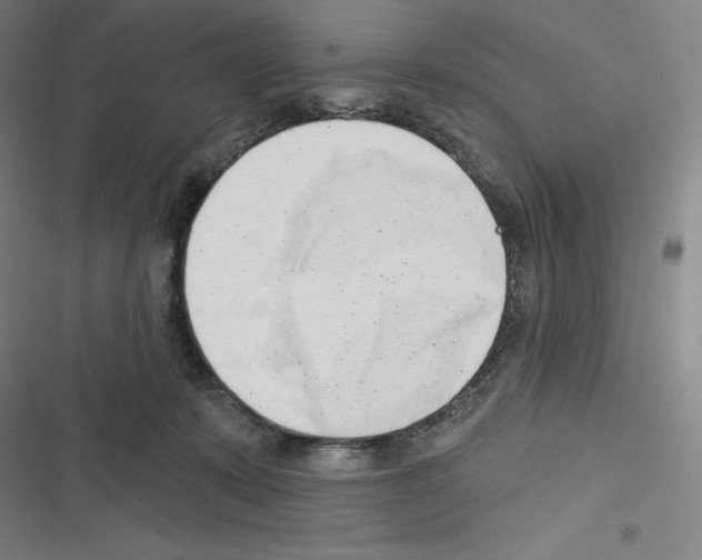 X0000116300319201001111123