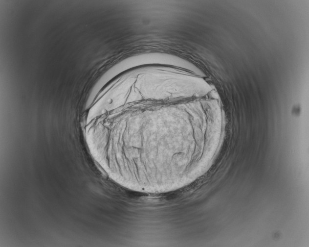 X0000116300320201001111123