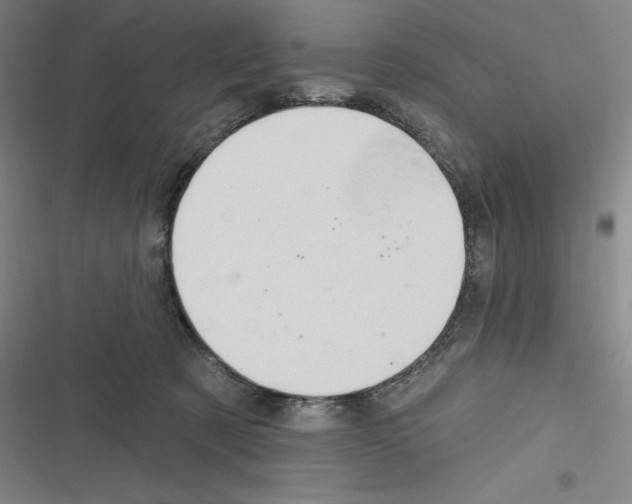 X0000116300321201001111123