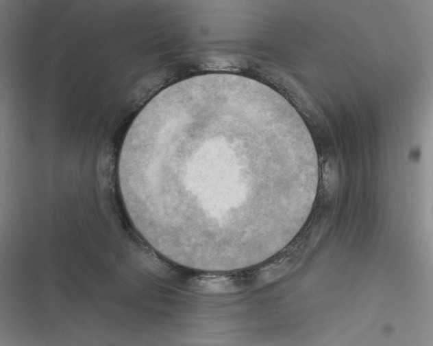 X0000116300322201001111123