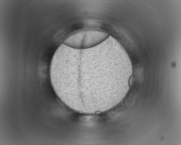 X0000116300323201001111123