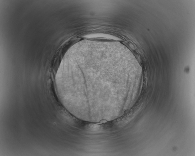 X0000116300325201001111123