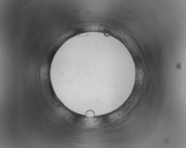 X0000116300326201001111123