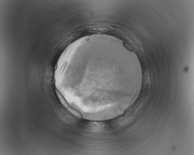 X0000116300328201001111123