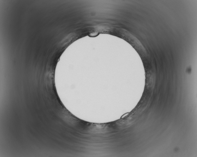 X0000116300329201001111123