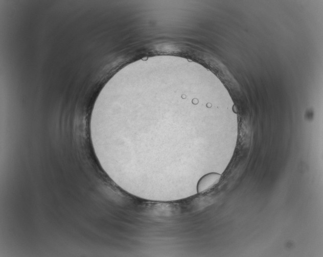 X0000116300330201001111123