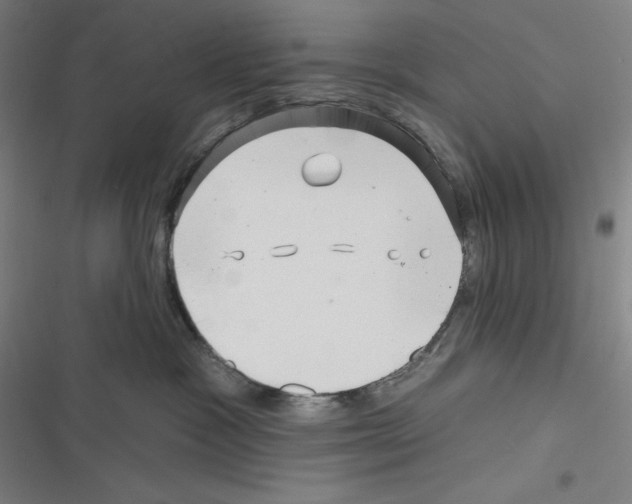 X0000116300333201001111122