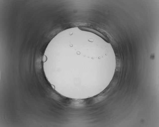 X0000116300334201001111122