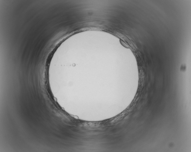 X0000116300338201001111122