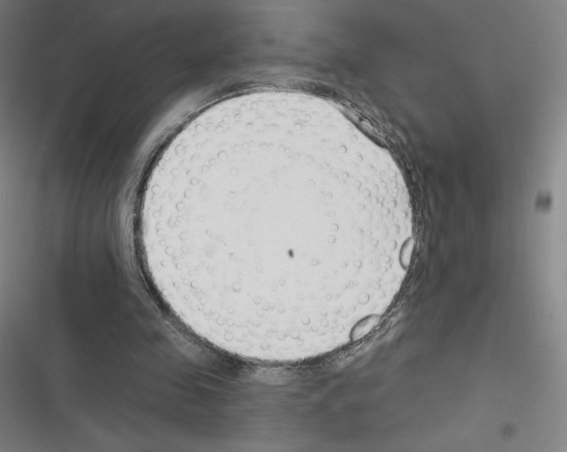 X0000116300341201001111122