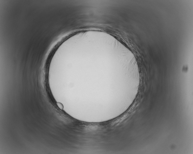 X0000116300342201001111122