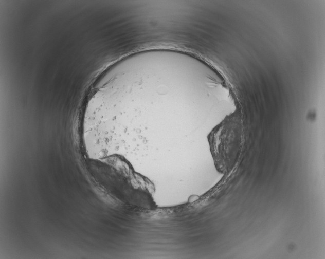 X0000116300345201001111122