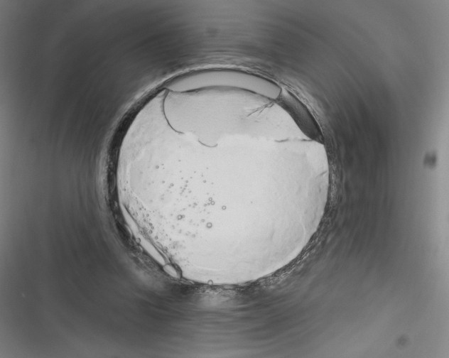 X0000116300346201001111122