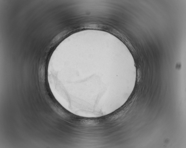 X0000116300349201001111122