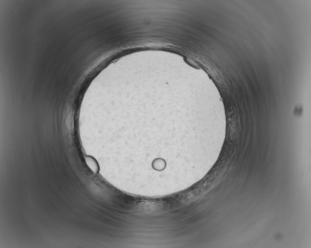 X0000116300350201001111122