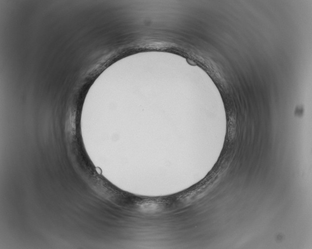 X0000116300358201001111122