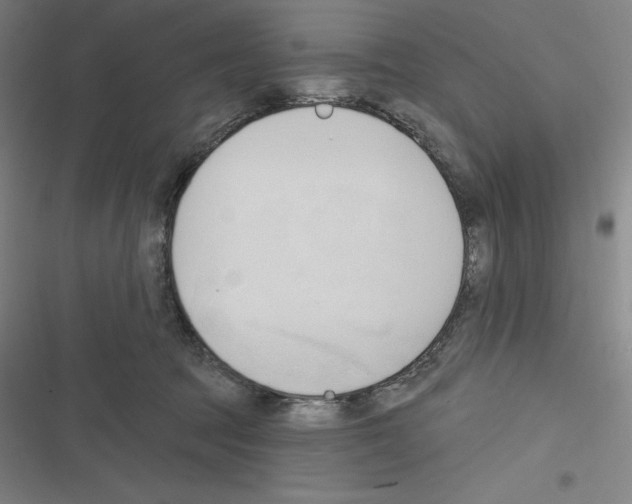 X0000116300369201001111122