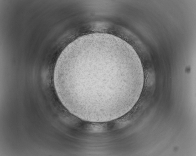 X0000116300370201001111122