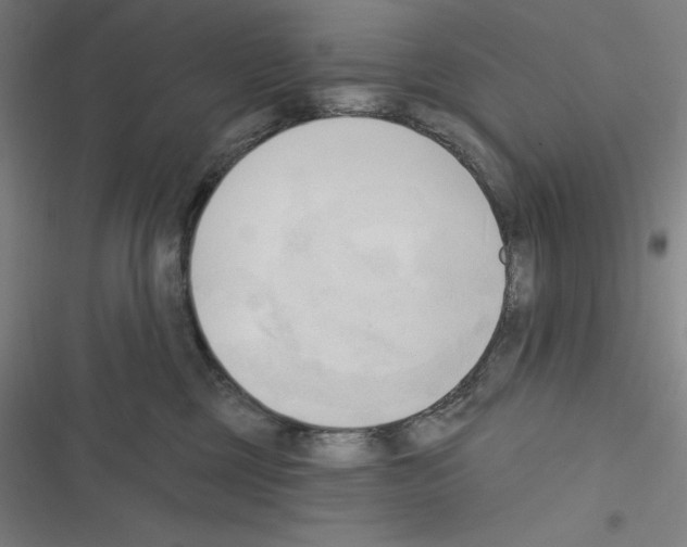 X0000116300377201001111122