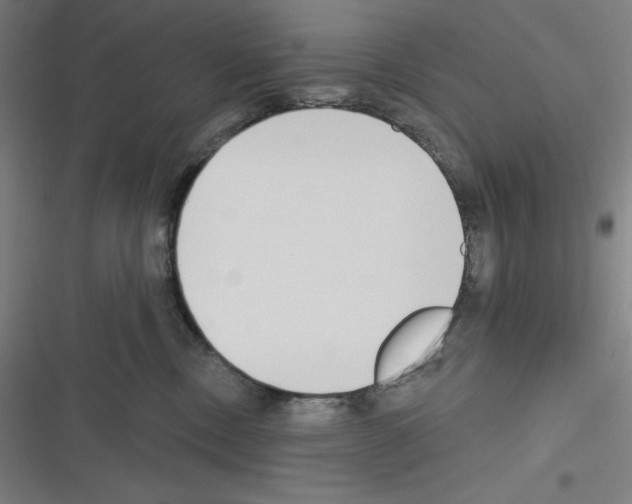 X0000116300378201001111122