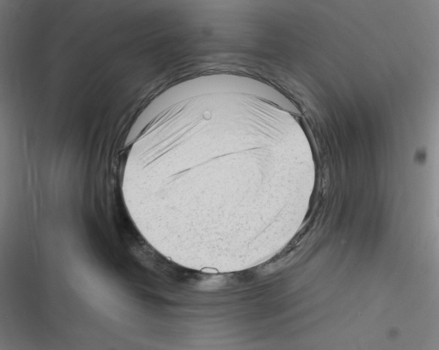 X0000116300382201001111122