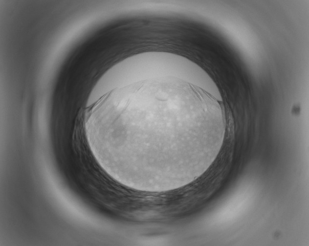 X0000116300383201001111122