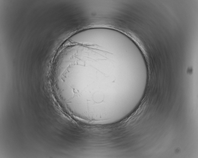 X0000116300385201001111122