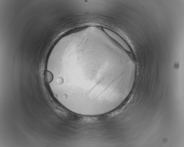 X0000116300386201001111122