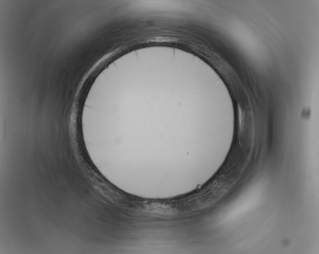 X0000116300387201001111122