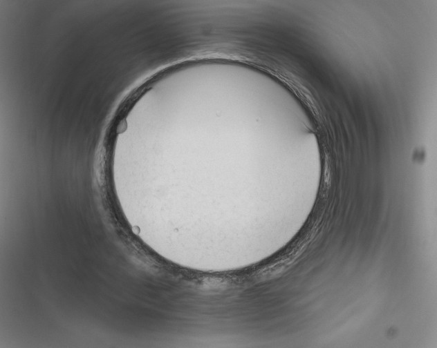 X0000116300388201001111122