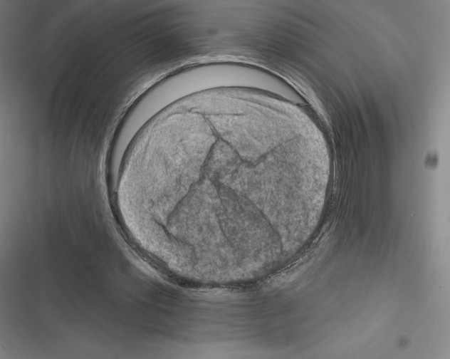 X0000116300389201001111122