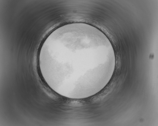 X0000116300390201001111122