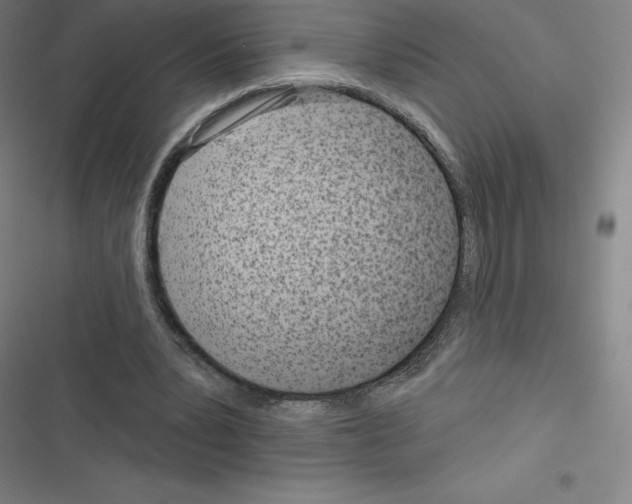 X0000116300391201001111122