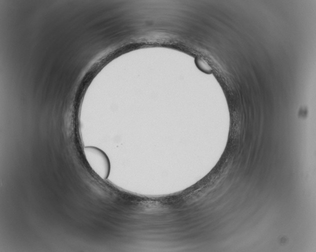 X0000116300392201001111122