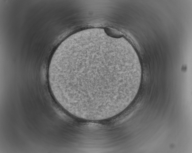 X0000116300393201001111122