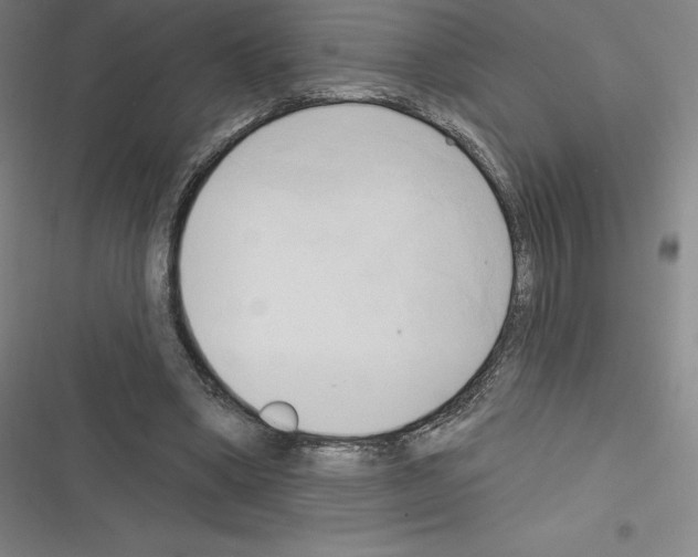 X0000116300394201001111122