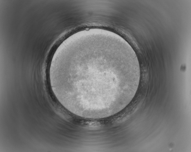 X0000116300395201001111122