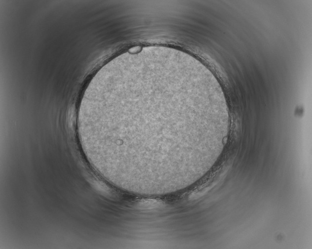 X0000116300397201001111122