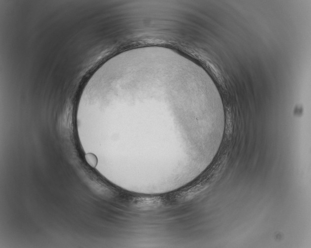 X0000116300398201001111122