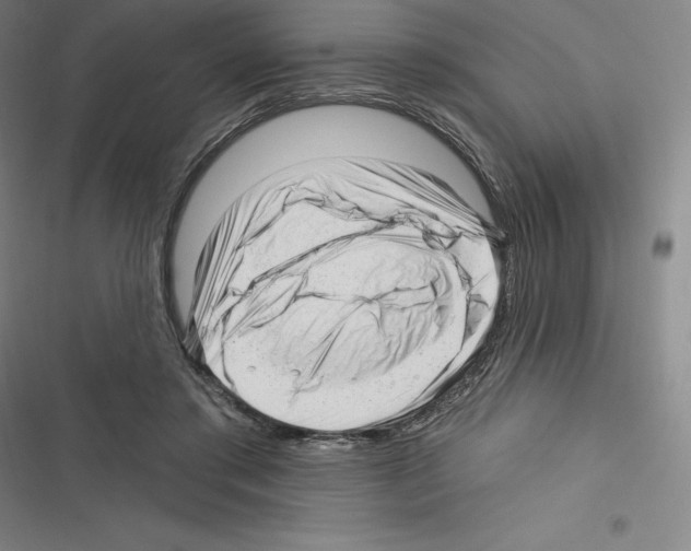 X0000116300405201001111121