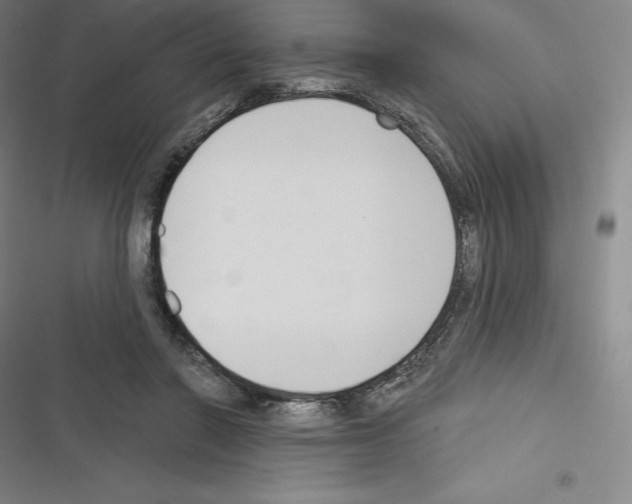 X0000116300406201001111121