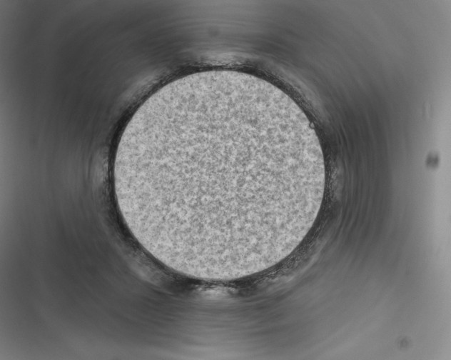 X0000116300407201001111121