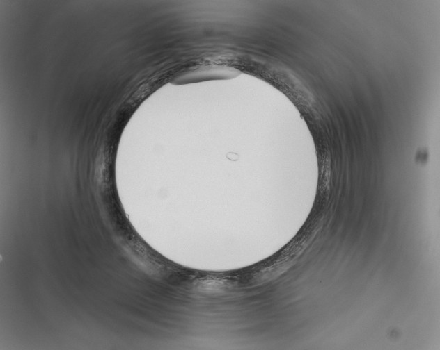 X0000116300408201001111121